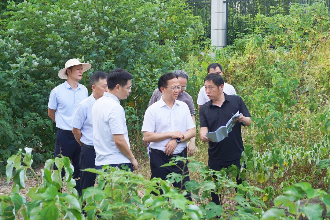 开福区政府主要领导现场督导生态环境领域重点工程项目工作