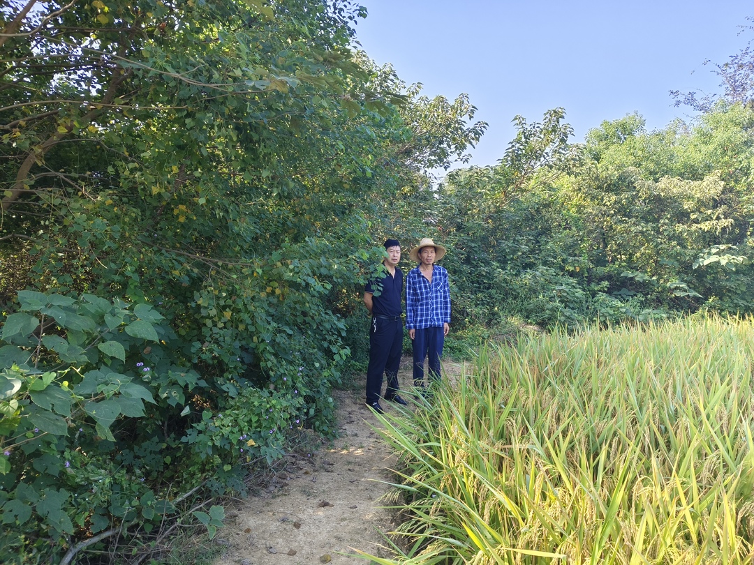 开福区沙坪街道竹安村以廉洁之风助力新农村建设