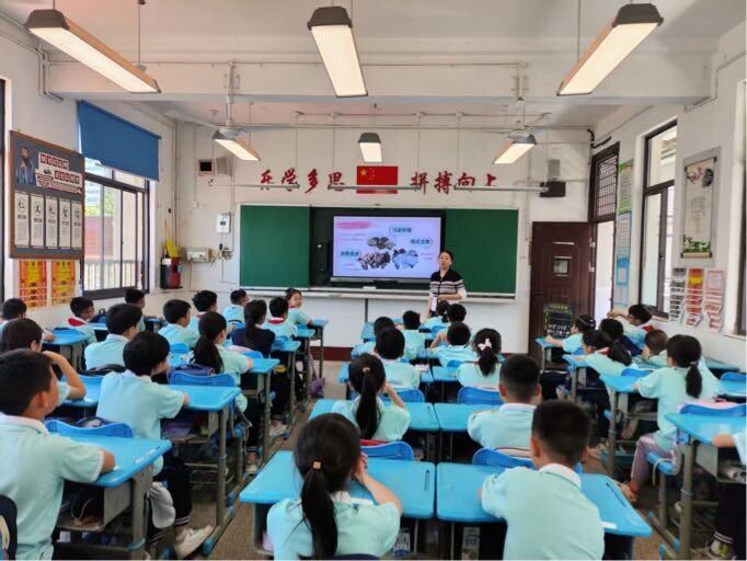 开福区湘雅路街道三角塘社区：网格助力“净”校园，绿色环保“润”童心  