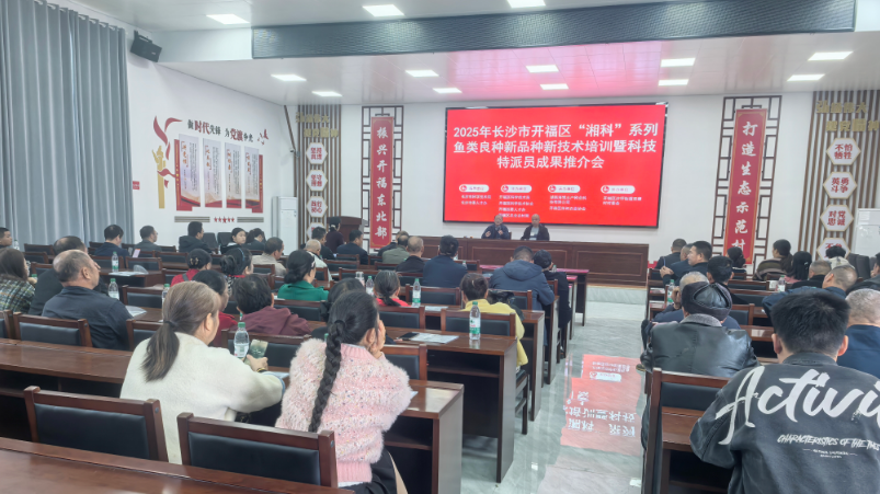 开福区推“良种+良法”新模式，科技赋能渔业高质量发展