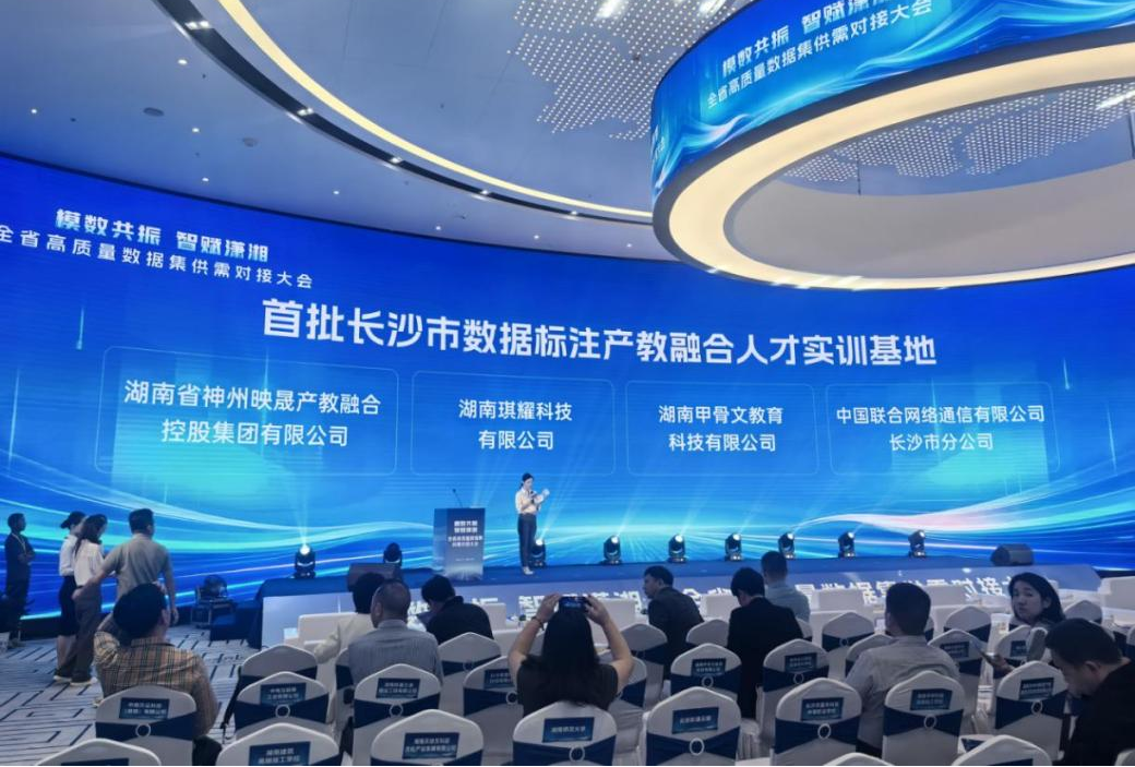 开福区数字经济企业闪耀省级大会 “模数共振”助推新质生产力发展